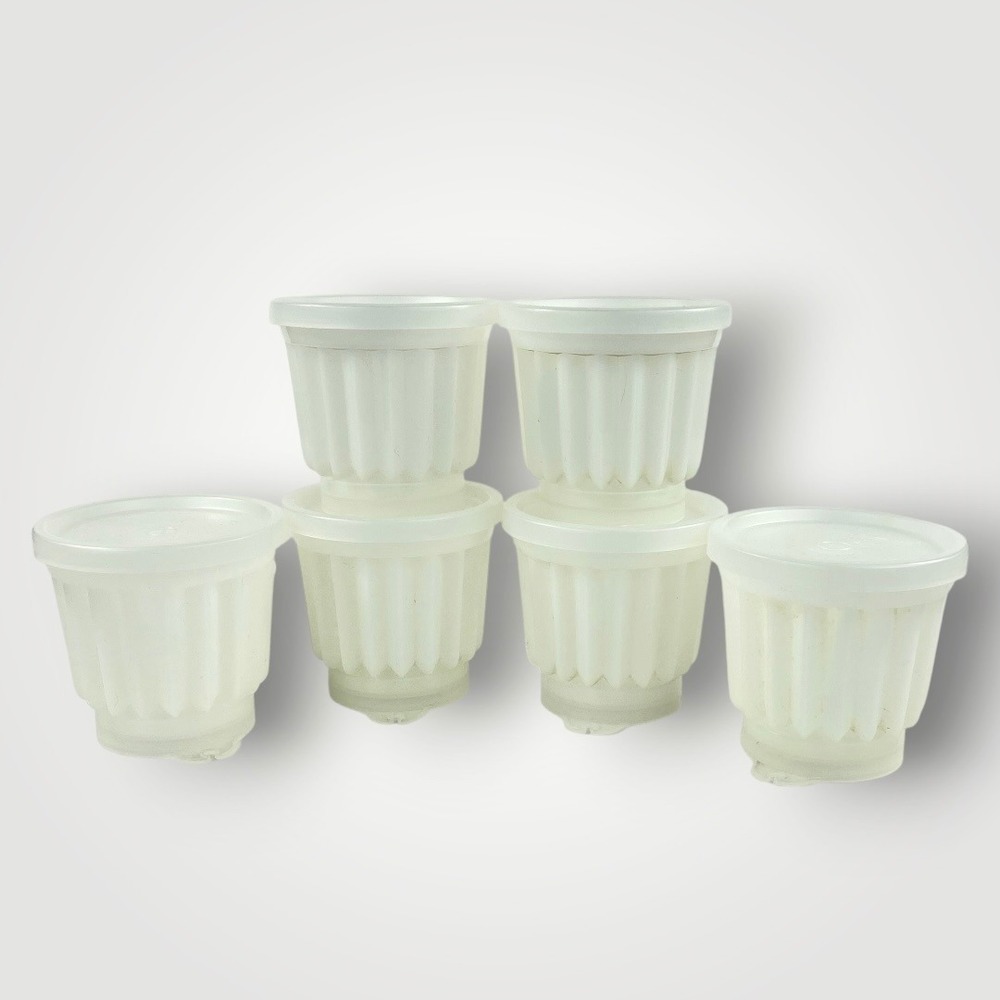 Tupperware Jel-Ette Jello Molds Set 6 Tupper Seal‎ Cups Starburst 1970s